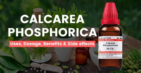 calcarea phosphorica|The Many Benefits of Calcarea Phosphorica in Homeopathy